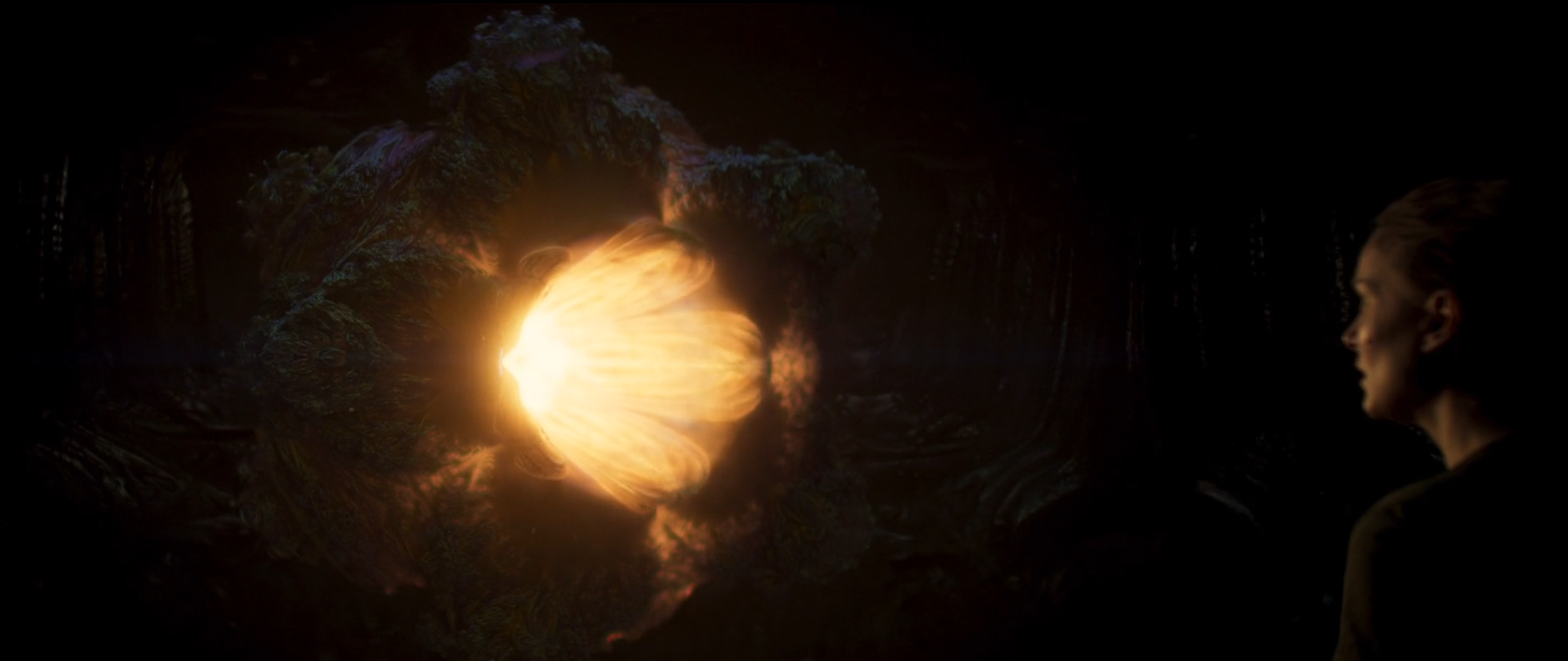 Still frame from Annihilation (2018), used here under fair use for commentary and educational purposes. All rights belong to the original copyright holders.